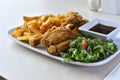 Chicken Wings and French Fries with Salad 3