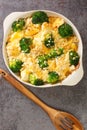 Chicken Divan is a creamy casserole that traditionally made with a chicken, broccoli, cream, cheese close up in the dish. vertical Royalty Free Stock Photo