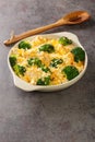 Chicken Divan is a creamy casserole that traditionally made with a chicken, broccoli, cream, cheese close up in the dish. vertical Royalty Free Stock Photo