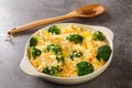 Chicken Divan is full of savory chicken, broccoli, creamy sauce, and the most amazing butter cracker topping close up in the dish Royalty Free Stock Photo