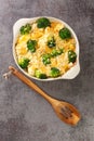 Chicken Divan has juicy bites of chicken that are smothered in a simple cream sauce with broccoli and topped with a buttery Royalty Free Stock Photo