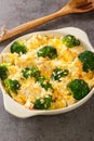 Chicken Divan has juicy bites of chicken that are smothered in a simple cream sauce with broccoli and topped with a buttery Royalty Free Stock Photo