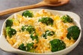 Chicken Divan is a type of chicken and broccoli casserole with a creamy sauce close up in the dish. Horizontal Royalty Free Stock Photo