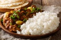 Chicken Do Pyaaza cooked in a variety of spices, yogurt and kasoori methi served with rice and flatbread. horizontal Royalty Free Stock Photo