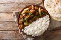 Chicken Do Pyaaza cooked in a variety of spices, yogurt and kasoori methi served with rice and flatbread. Horizontal top view Royalty Free Stock Photo