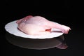Chicken drumstick meat leg raw food on black reflective studio background. Isolated black shiny mirror mirrored Royalty Free Stock Photo