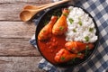 Chicken drumstick with Sriracha chilli sauce and rice garnish. h Royalty Free Stock Photo