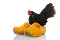 Chicken on Dutch wooden clogs