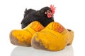 Chicken on Dutch wooden clogs Royalty Free Stock Photo