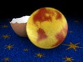 The Chicken Earth is out Royalty Free Stock Photo