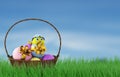 Chicken in a easter egg in basket. 3d render