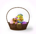 Chicken In A Easter Egg In Basket. 3d Render