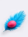 A chicken easter egg pink colored on a blue ostrich feather on a white background with copy space.