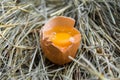 Chicken egg broken. The yolk of the egg. Type in the face. Hay. Rural view. Royalty Free Stock Photo