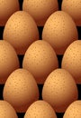 Chicken egg brown with spots Seamless pattern Royalty Free Stock Photo