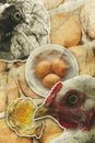 Chicken Egg Concept Collage