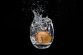 Chicken egg, falling into a glass with water Royalty Free Stock Photo
