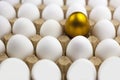 Chicken egg with a gold pattern surrounded by white eggs, background, texture Royalty Free Stock Photo