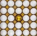 Chicken egg with a gold pattern surrounded by white eggs, Square background, texture Royalty Free Stock Photo