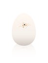 Chicken Egg Hatching Baby Chick Peep Out Eye Broken Eggshell