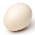 Chicken Egg isolated on white background Royalty Free Stock Photo