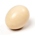 Chicken Egg isolated on white background Royalty Free Stock Photo