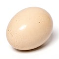 Chicken Egg isolated on white background Royalty Free Stock Photo