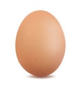 Chicken egg isolated on white background vector illustration Royalty Free Stock Photo