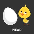 Chicken and egg. Learning preposition with bird