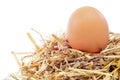 Chicken egg in a nest Royalty Free Stock Photo