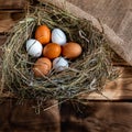 Chicken egg in the nest Royalty Free Stock Photo