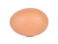 Chicken Egg ,one eggs on white background Royalty Free Stock Photo