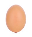 Chicken Egg ,one eggs on white background Royalty Free Stock Photo