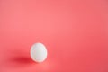 Chicken egg on a pink background