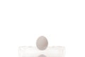 Chicken egg in plastic holder isolated on white background Royalty Free Stock Photo