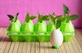 Chicken egg and plastic packaging for eggs are on the table. Shoots of young plants with green leaves sprouted through the