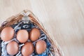 The chicken egg and rabbit in the basket. Easter time, Happy time. Jesus rise again Royalty Free Stock Photo