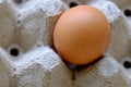 Chicken egg is a raw material for cooking that is easy to find,easy to cook but now the price is getting more expensive