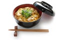 Chicken and egg on rice , japanese cuisine Royalty Free Stock Photo