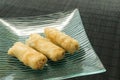 Chicken egg rolls Royalty Free Stock Photo