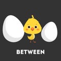 Chicken and egg set. Learning preposition with bird