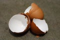 Chicken egg shell Royalty Free Stock Photo