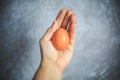 Chicken egg in the shell on gray and white background holding in hand Royalty Free Stock Photo