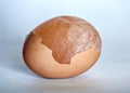 Extremely strong chicken egg Royalty Free Stock Photo