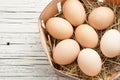 Chicken egg in a straw nest on white old wood background Royalty Free Stock Photo