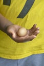 Chicken egg in camper hand
