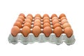 Chicken Egg Trays Royalty Free Stock Photo