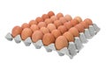 Chicken Egg Trays Royalty Free Stock Photo