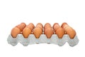 Chicken Egg Trays. Royalty Free Stock Photo