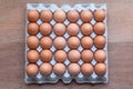 Chicken Egg Trays Royalty Free Stock Photo